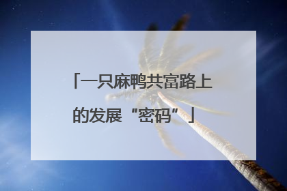 一只麻鸭共富路上的发展“密码”