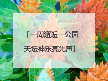 一周邂逅一公园 天坛神乐亮先声