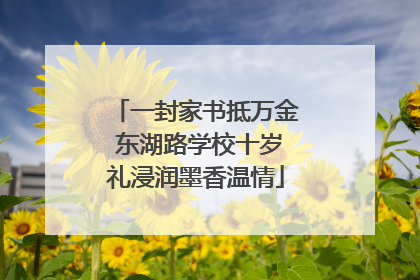 一封家书抵万金 东湖路学校十岁礼浸润墨香温情