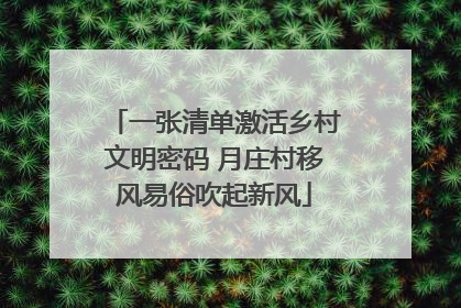 一张清单激活乡村文明密码 月庄村移风易俗吹起新风