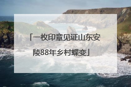 一枚印章见证山东安陵88年乡村蝶变