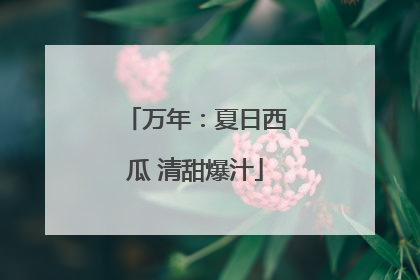 万年：夏日西瓜 清甜爆汁