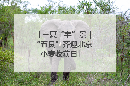三夏“丰”景｜“五良”齐迎北京小麦收获日