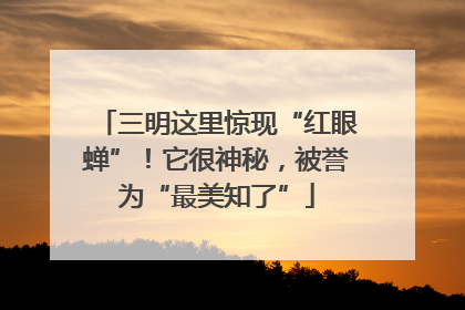 三明这里惊现“红眼蝉”！它很神秘，被誉为“最美知了”