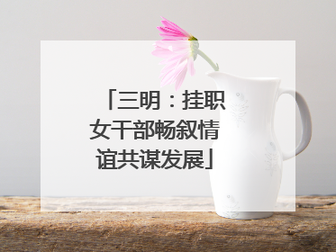 三明：挂职女干部畅叙情谊共谋发展