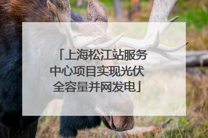 上海松江站服务中心项目实现光伏全容量并网发电
