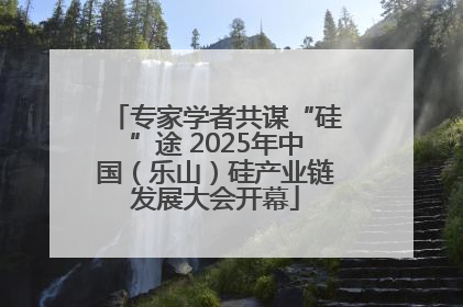 专家学者共谋“硅”途 2025年中国（乐山）硅产业链发展大会开幕