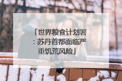 世界粮食计划署：苏丹首都面临严重饥荒风险