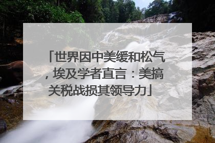 世界因中美缓和松气，埃及学者直言：美搞关税战损其领导力