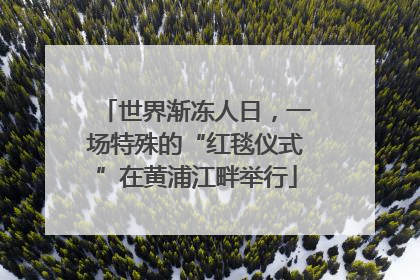 世界渐冻人日，一场特殊的“红毯仪式”在黄浦江畔举行