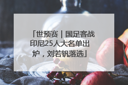 世预赛｜国足客战印尼25人大名单出炉，刘若钒落选