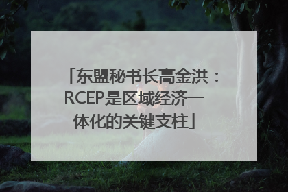 东盟秘书长高金洪：RCEP是区域经济一体化的关键支柱