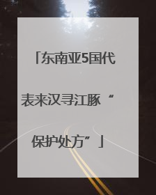 东南亚5国代表来汉寻江豚“保护处方”