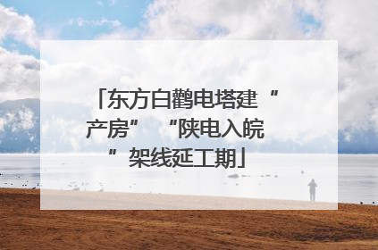 东方白鹳电塔建“产房” “陕电入皖”架线延工期