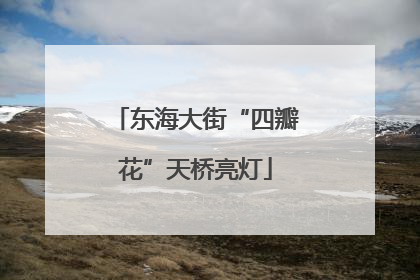 东海大街“四瓣花”天桥亮灯