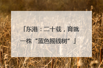 东港：二十载，育就一株“蓝色摇钱树”