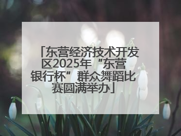 东营经济技术开发区2025年“东营银行杯”群众舞蹈比赛圆满举办