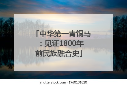 中华第一青铜马：见证1800年前民族融合史
