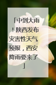 中到大雨！陕西发布灾害性天气预报，西安降雨要来了