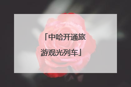 中哈开通旅游观光列车
