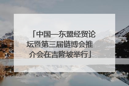 中国—东盟经贸论坛暨第三届链博会推介会在吉隆坡举行