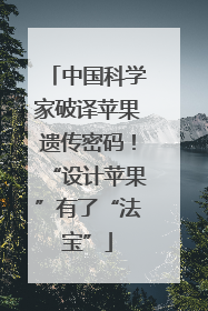 中国科学家破译苹果遗传密码！“设计苹果”有了“法宝”