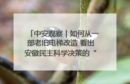 中安观察｜如何从一部老旧电梯改造 看出安徽民主科学决策的“高分秘诀”？