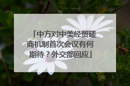中方对中美经贸磋商机制首次会议有何期待？外交部回应