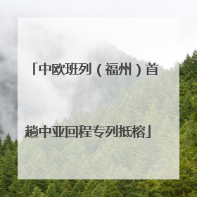 中欧班列（福州）首趟中亚回程专列抵榕