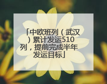 中欧班列（武汉）累计发运510列，提前完成半年发运目标