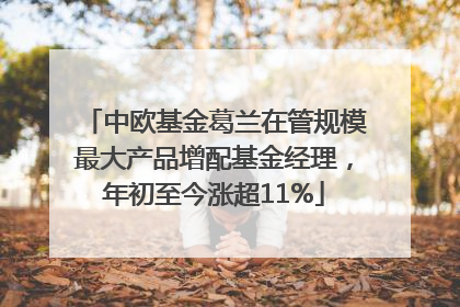 中欧基金葛兰在管规模最大产品增配基金经理，年初至今涨超11%