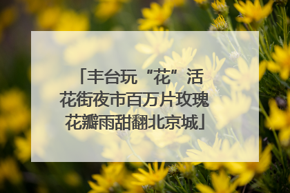 丰台玩“花”活 花街夜市百万片玫瑰花瓣雨甜翻北京城