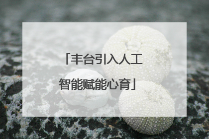 丰台引入人工智能赋能心育