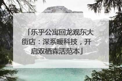 乐乎公寓回龙观东大街店：深系暖科技，开启双栖森活范本