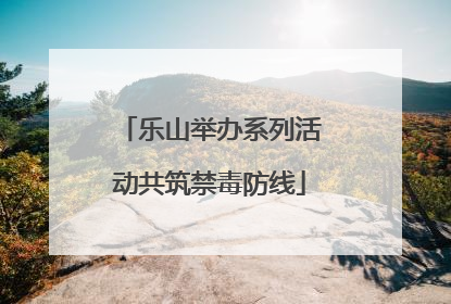 乐山举办系列活动共筑禁毒防线