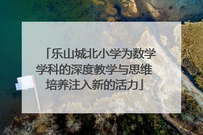 乐山城北小学为数学学科的深度教学与思维培养注入新的活力