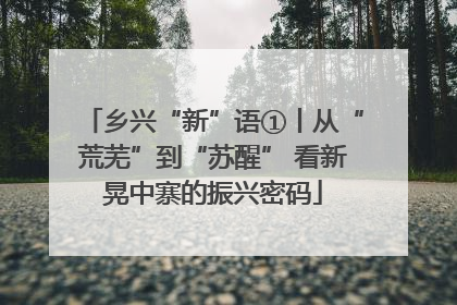 乡兴“新”语①丨从“荒芜”到“苏醒” 看新晃中寨的振兴密码