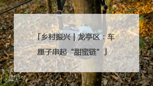 乡村振兴｜龙亭区：车厘子串起“甜蜜链”