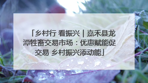 乡村行 看振兴｜嘉禾县龙潭牲畜交易市场：优惠赋能促交易 乡村振兴添动能
