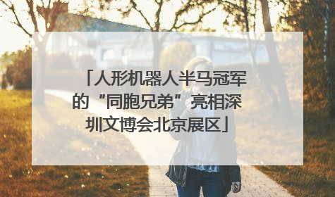 人形机器人半马冠军的“同胞兄弟”亮相深圳文博会北京展区