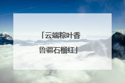 云端粽叶香 鲁疆石榴红