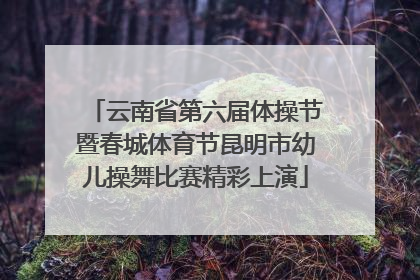 云南省第六届体操节暨春城体育节昆明市幼儿操舞比赛精彩上演