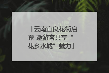 云南宜良花街启幕 邀游客共享“花乡水城”魅力