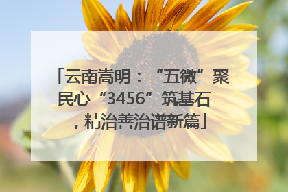 云南嵩明：“五微”聚民心“3456”筑基石，精治善治谱新篇