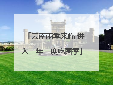 云南雨季来临 进入一年一度吃菌季