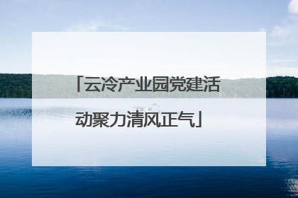 云冷产业园党建活动聚力清风正气