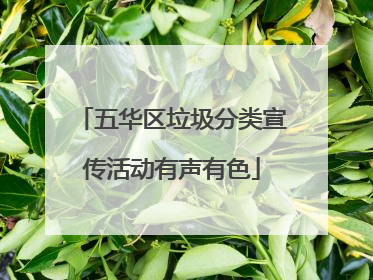 五华区垃圾分类宣传活动有声有色