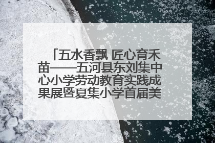五水香飘 匠心育禾苗——五河县东刘集中心小学劳动教育实践成果展暨夏集小学首届美食节盛大举行