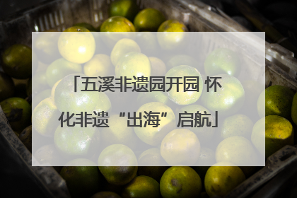 五溪非遗园开园 怀化非遗“出海”启航