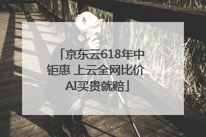 京东云618年中钜惠 上云全网比价 AI买贵就赔